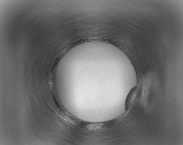 X0000052550179200507010854