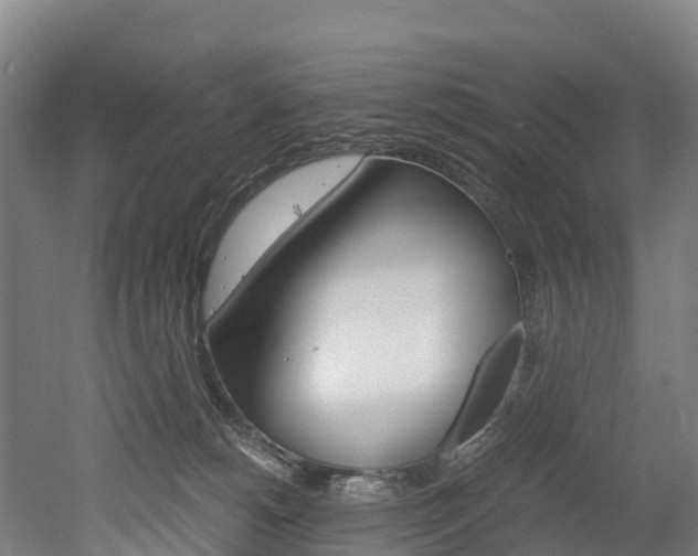 X0000052550180200507010854