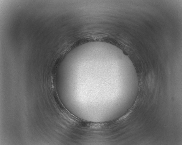 X0000052550182200507010854