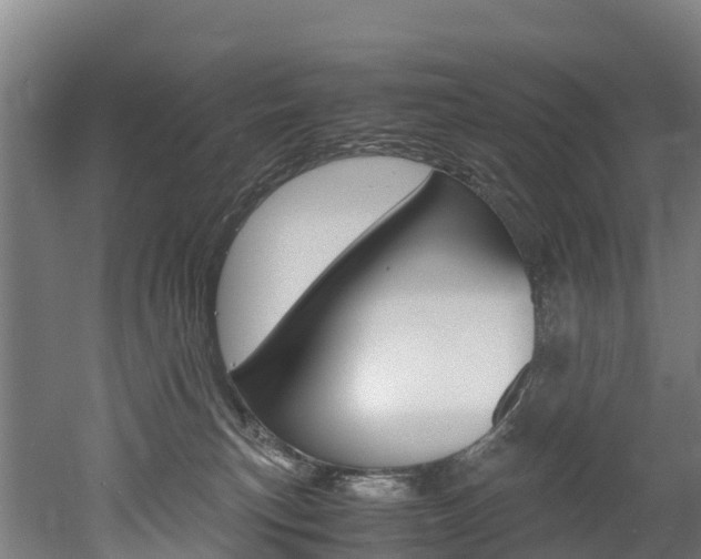 X0000052550183200507010854