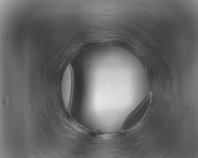 X0000052550184200507010854