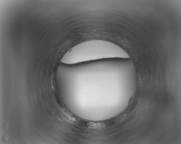 X0000052550185200507010854