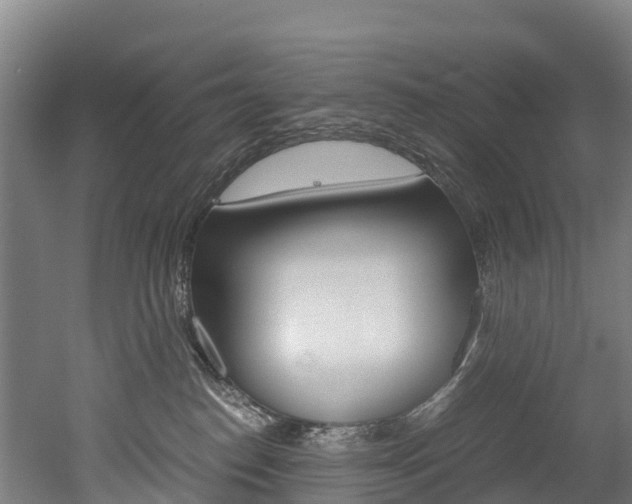 X0000052550186200507010855