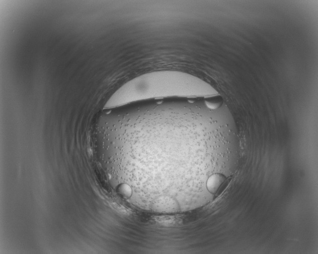 X0000052550187200507010855
