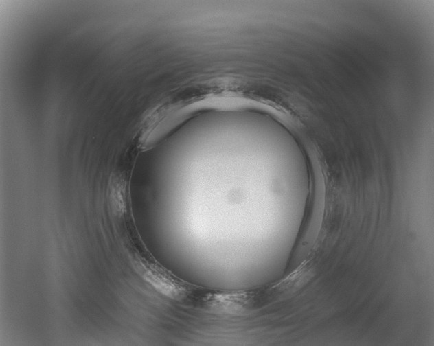 X0000052550188200507010855