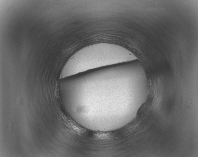 X0000052550189200507010855