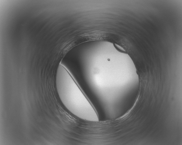 X0000052550190200507010855