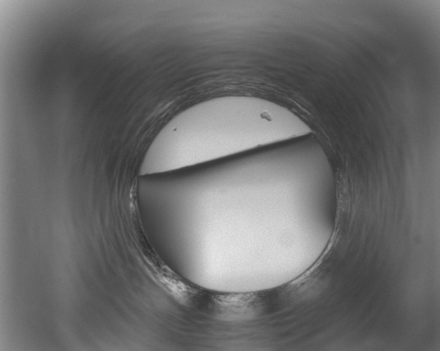 X0000052550191200507010855