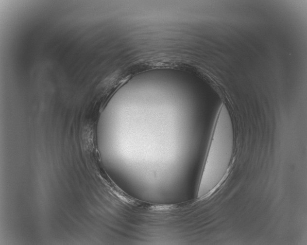 X0000052550192200507010855