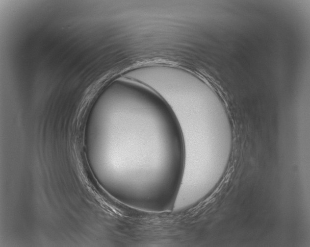 X0000052550193200507010854