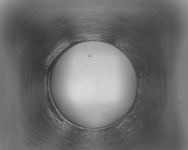 X0000052550194200507010854