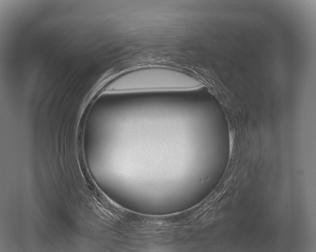 X0000052550195200507010854