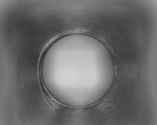 X0000052550196200507010854