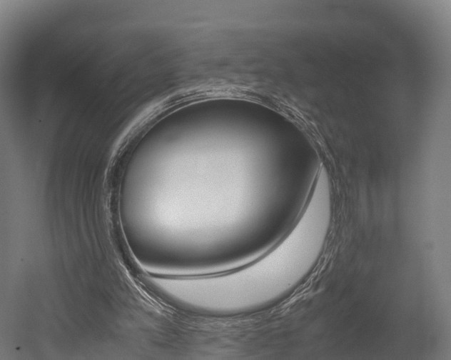 X0000052550197200507010854