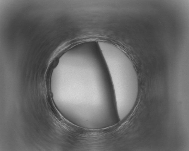 X0000052550198200507010854