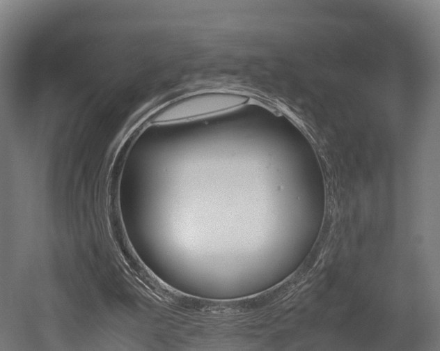 X0000052550199200507010854