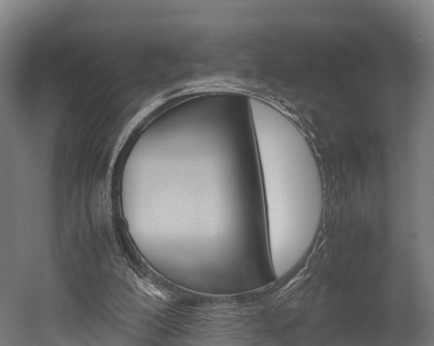 X0000052550200200507010854