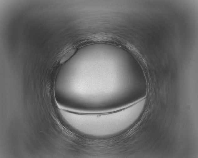 X0000052550201200507010854