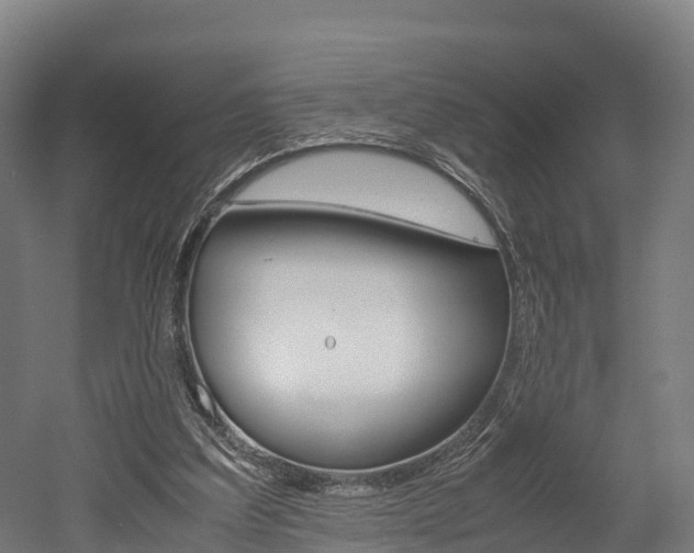 X0000052550203200507010854