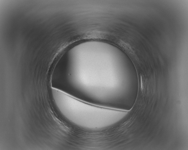 X0000052550204200507010854