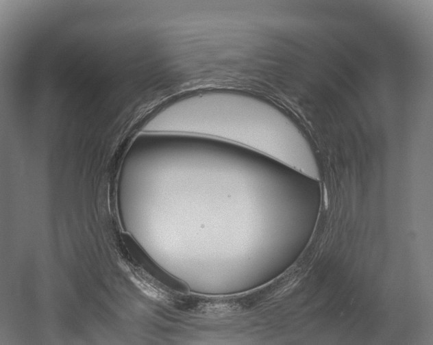 X0000052550205200507010854