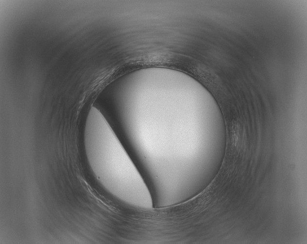 X0000052550206200507010854