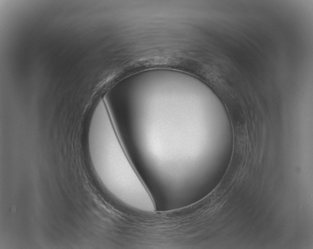 X0000052550207200507010854