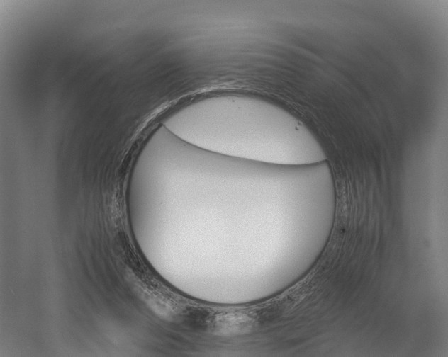 X0000052550208200507010854