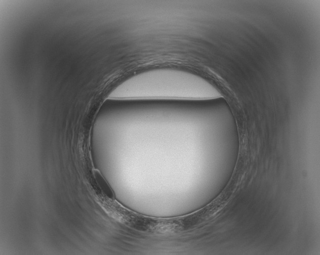 X0000052550209200507010854