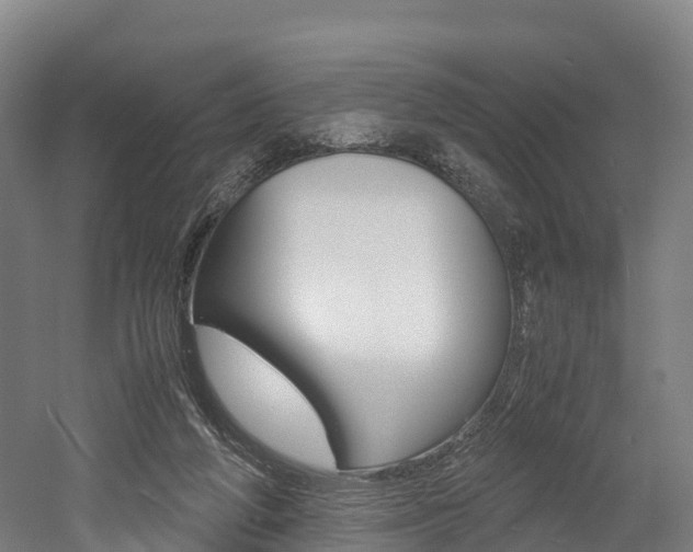 X0000052550210200507010854