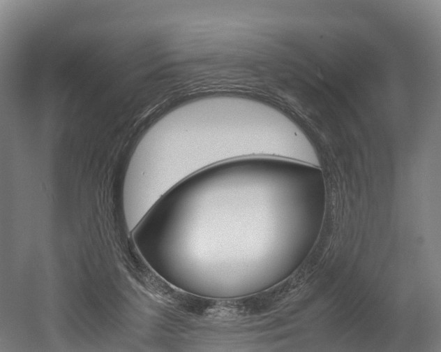 X0000052550211200507010853