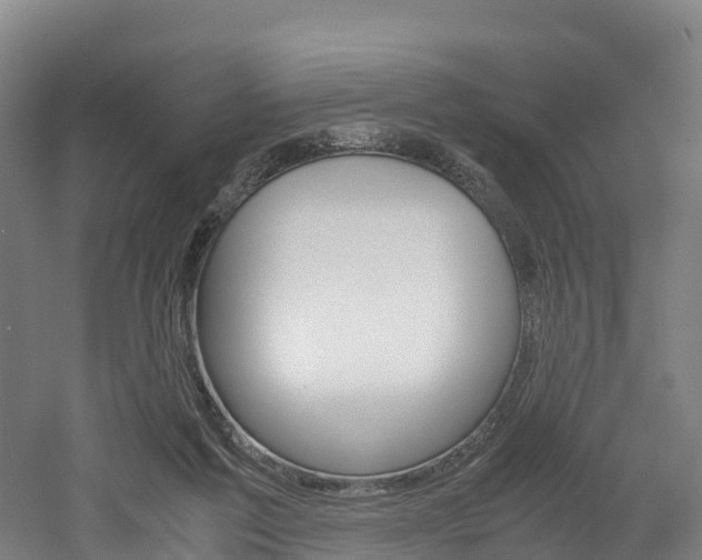 X0000052550213200507010853