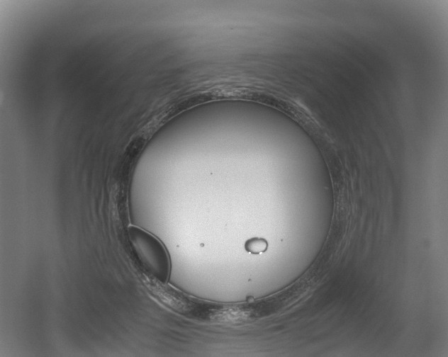 X0000052550217200507010853