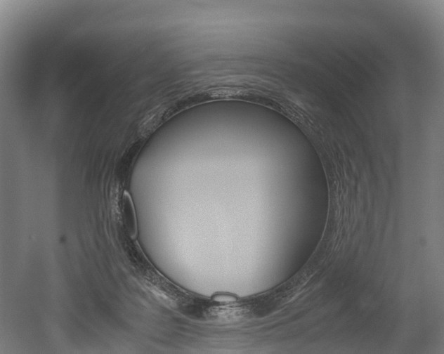 X0000052550219200507010853