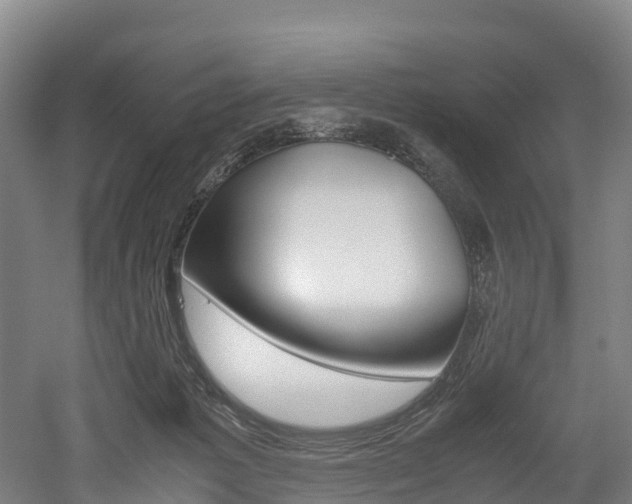 X0000052550221200507010853