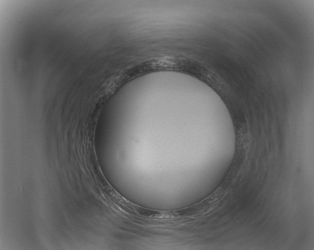 X0000052550223200507010853