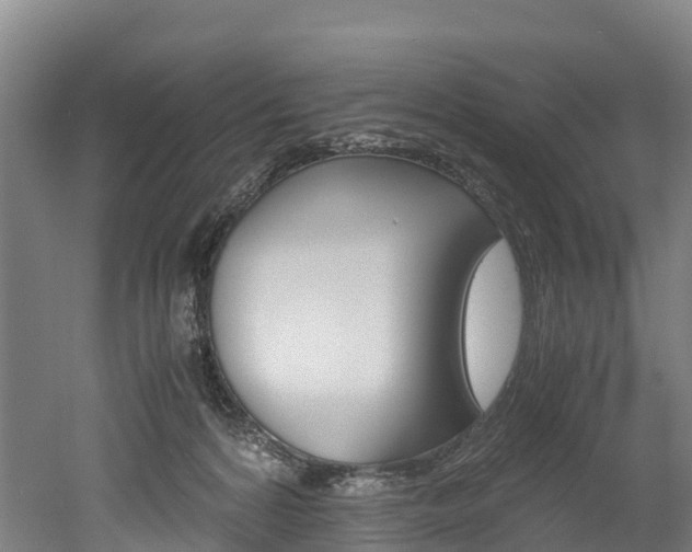 X0000052550224200507010853
