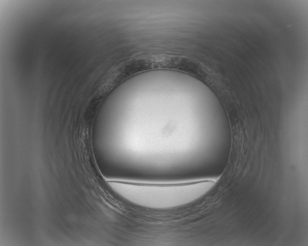 X0000052550225200507010853