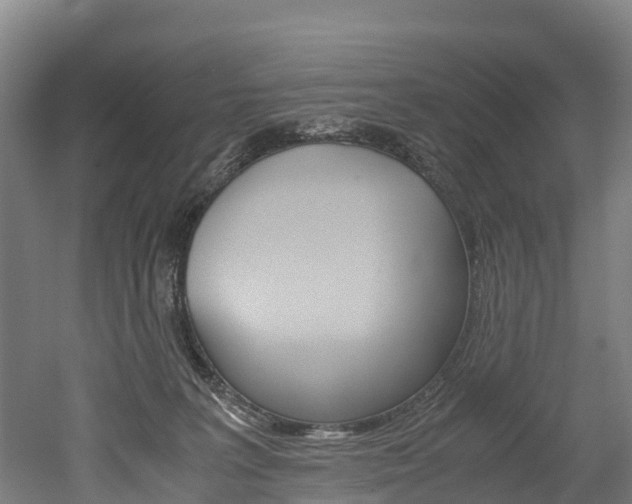 X0000052550227200507010853