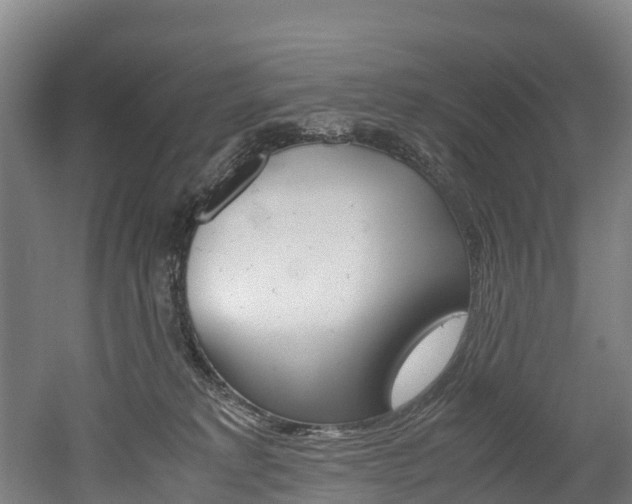 X0000052550229200507010853