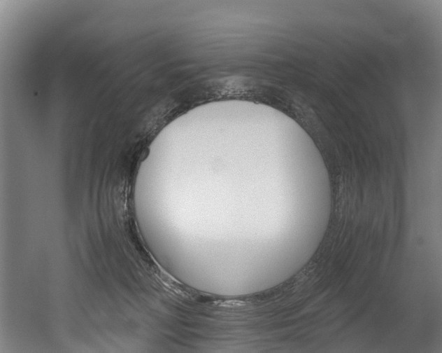 X0000052550230200507010853