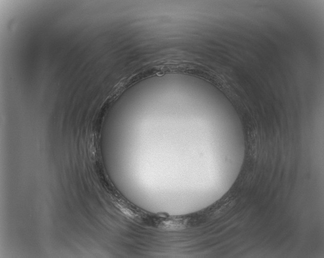 X0000052550232200507010853