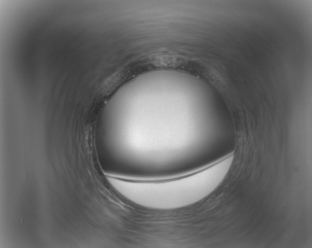 X0000052550233200507010853
