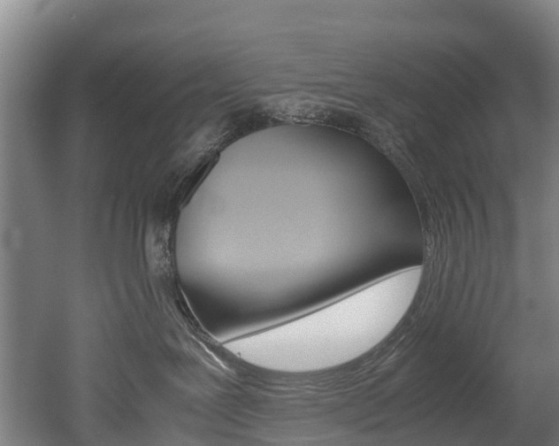 X0000052550239200507010853