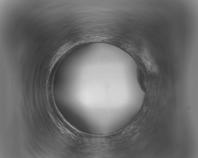 X0000052550242200507010852