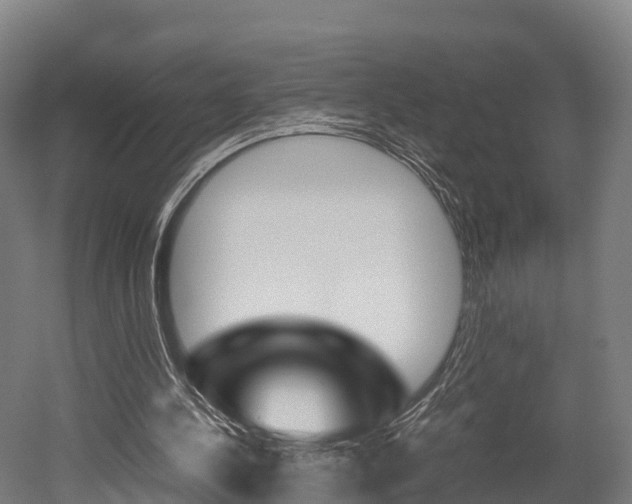 X0000052550244200507010852