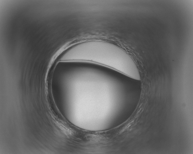 X0000052550246200507010852