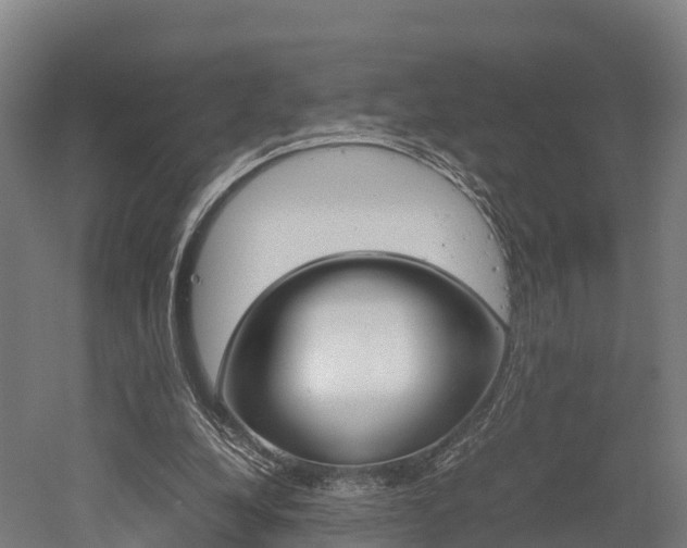X0000052550248200507010852