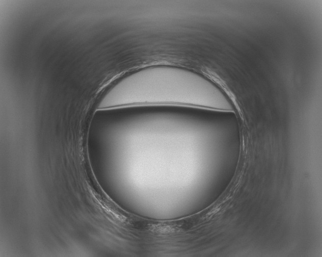 X0000052550249200507010852