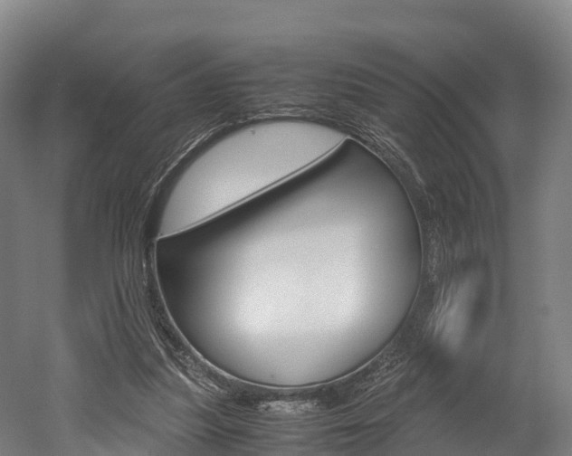 X0000052550251200507010852